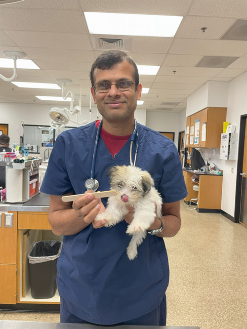 Kiran Karidi, DVM